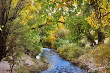 water frontage for sale colorado mcelmo creek guest ranch