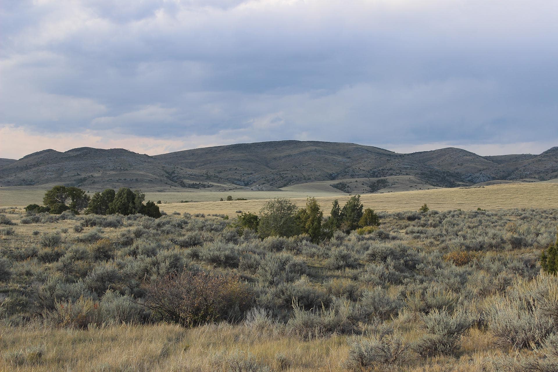 Anaconda Real Estate Montana Jefferson River Legacy Ranch