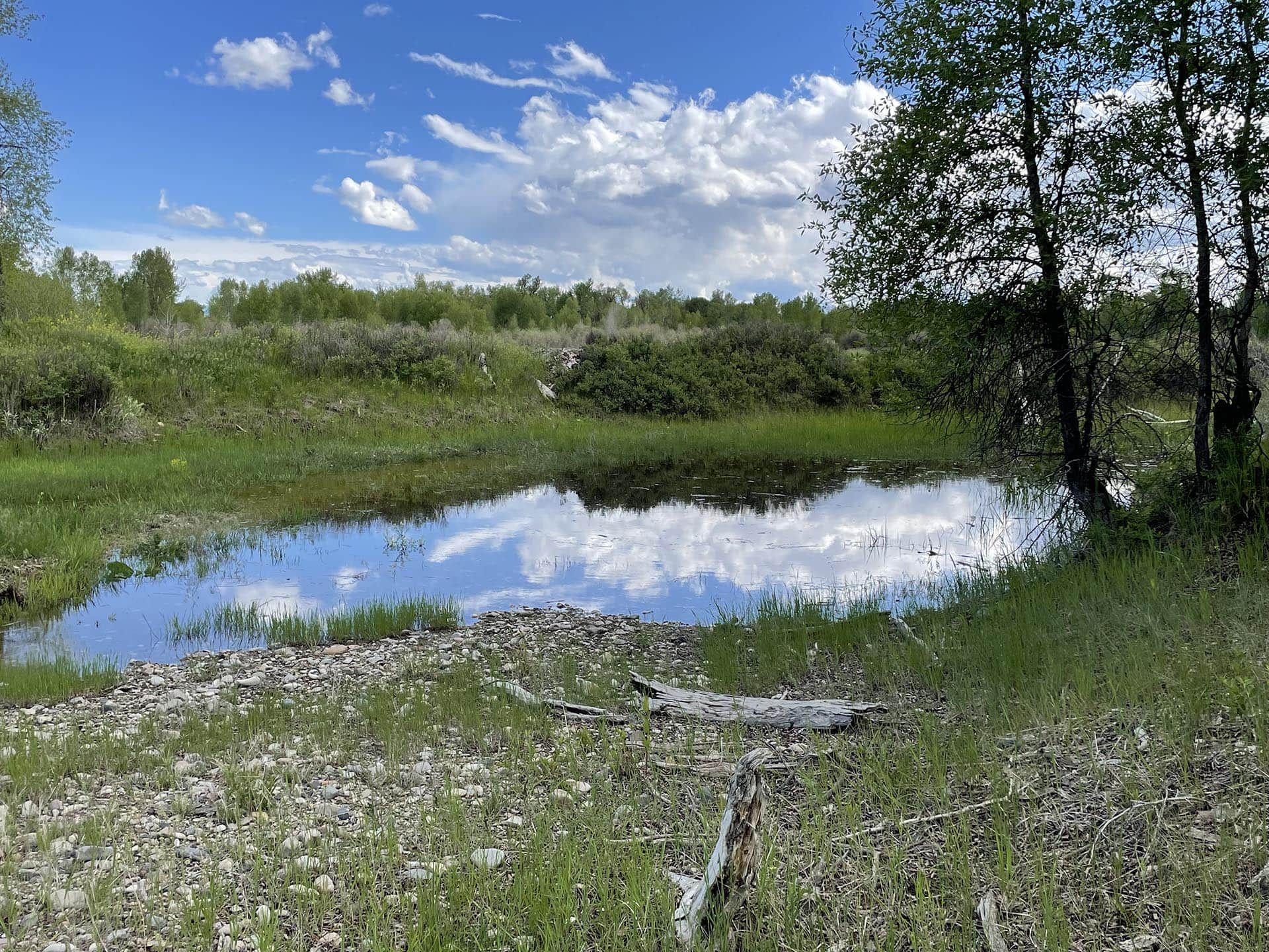 Big Sky Country Montana Jefferson River Legacy Ranch