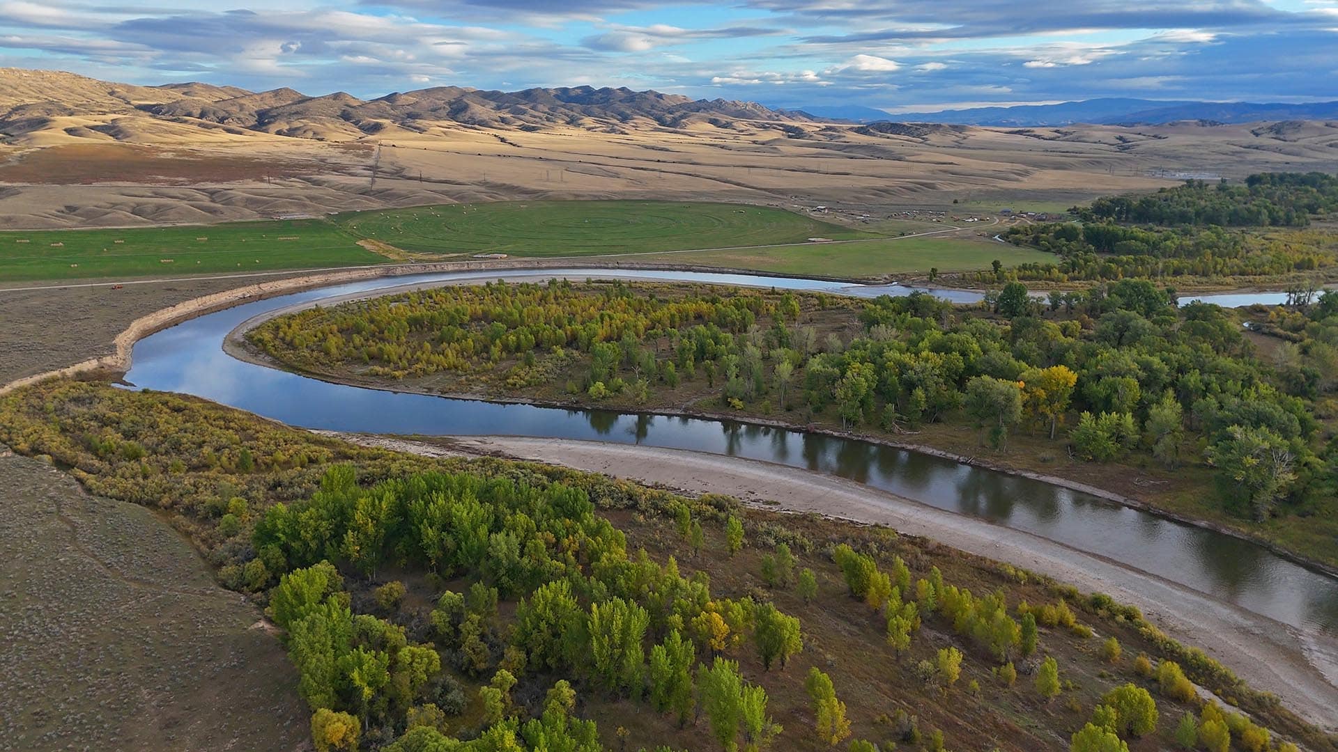 Brown Trout fishing on the Jefferson River Montana Jefferson River Legacy Ranch