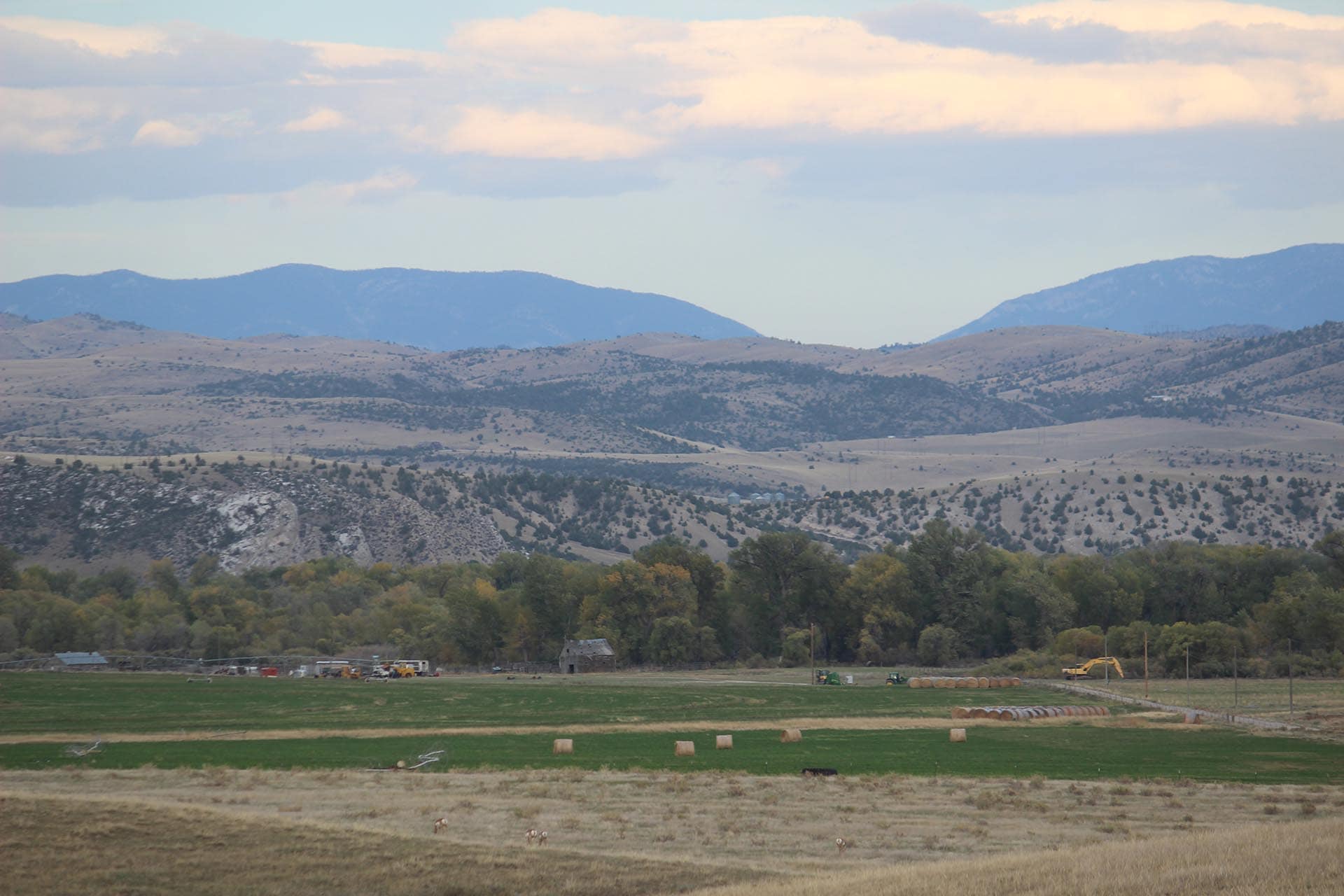 Cattle Ranching Montana Jefferson River Legacy Ranch