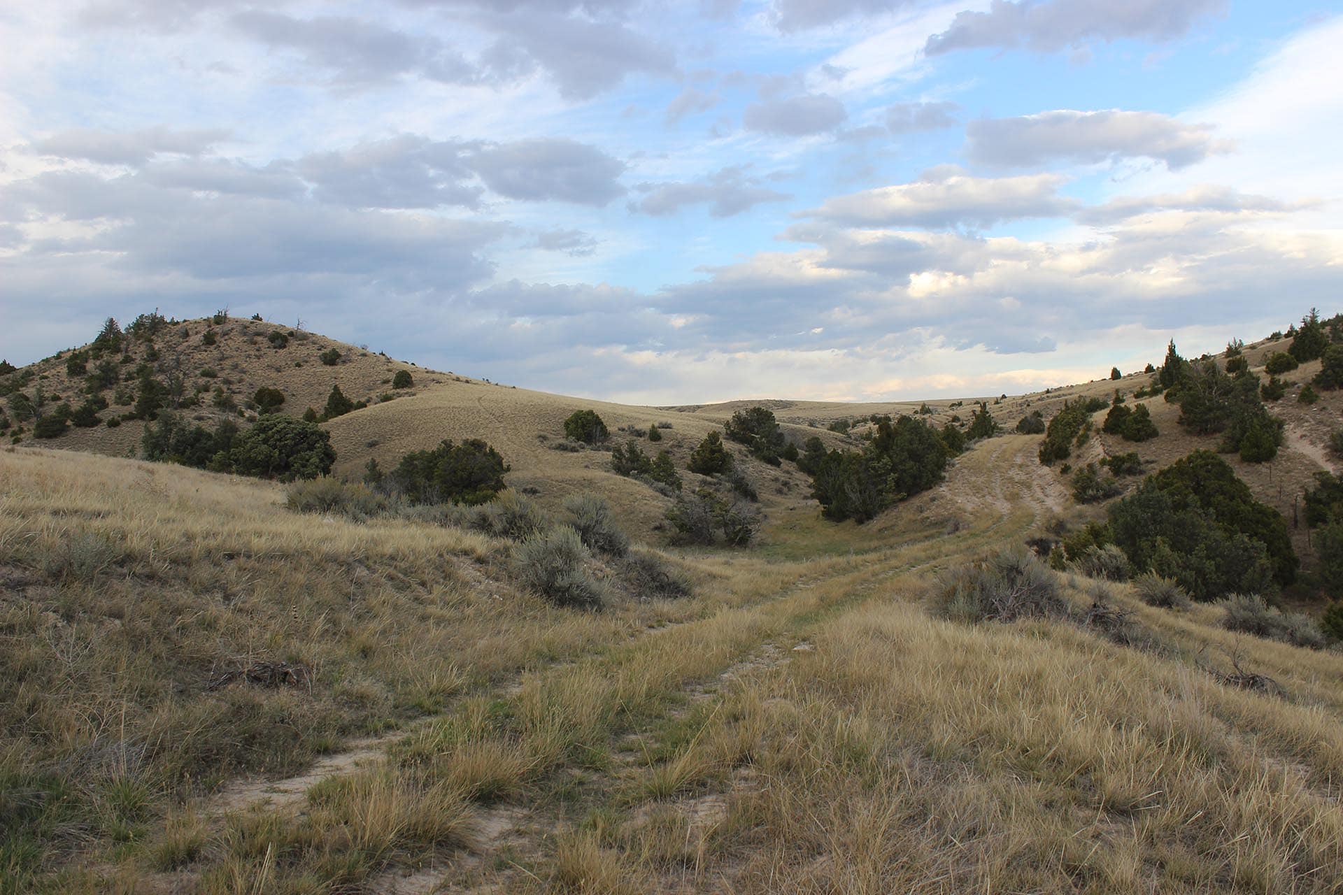 Elk Hunting Pony Montana Jefferson River Legacy Ranch