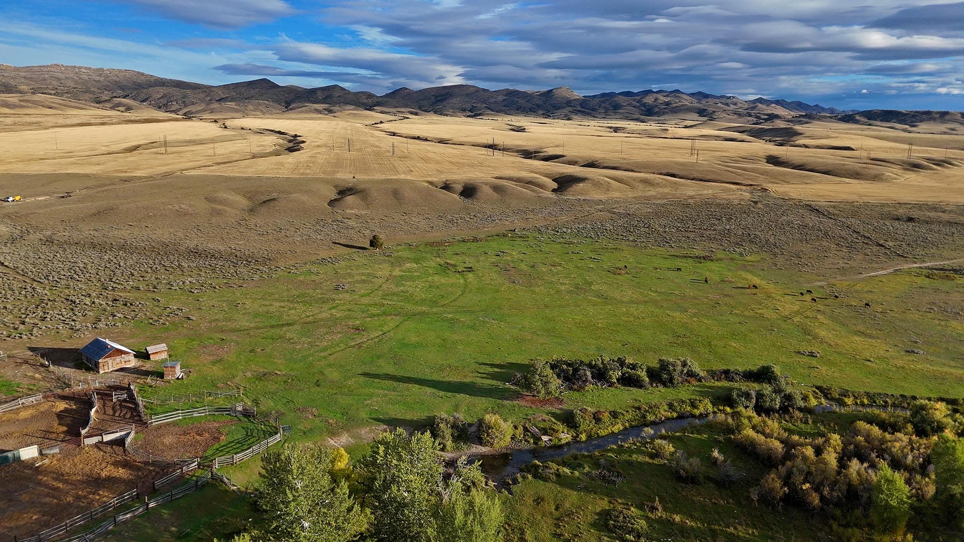Elk hunting Montana Jefferson River Legacy Ranch