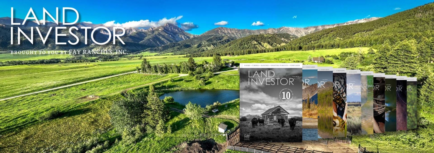 Land Investor Volume 10 - Header Image - 1920x677 - 1