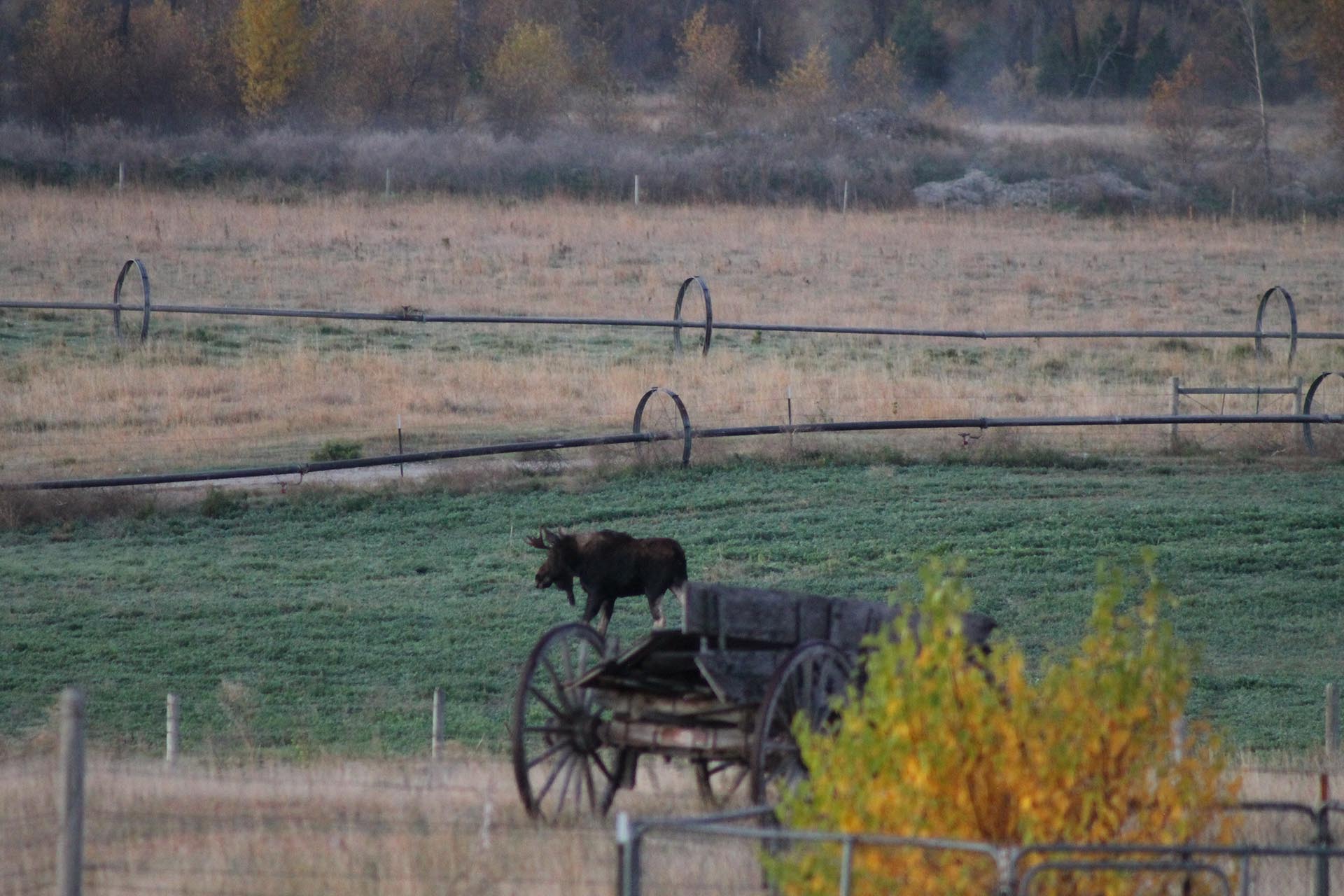 Montana Wilderness Montana Jefferson River Legacy Ranch