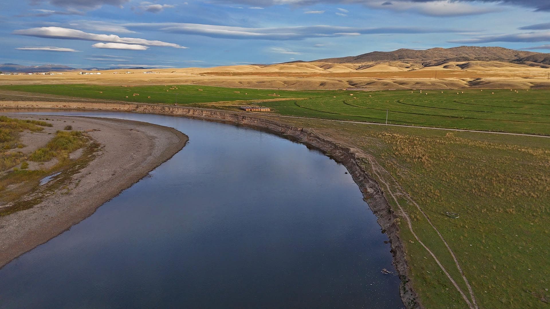 Pheasant Hunting Montana Jefferson River Legacy Ranch (2)