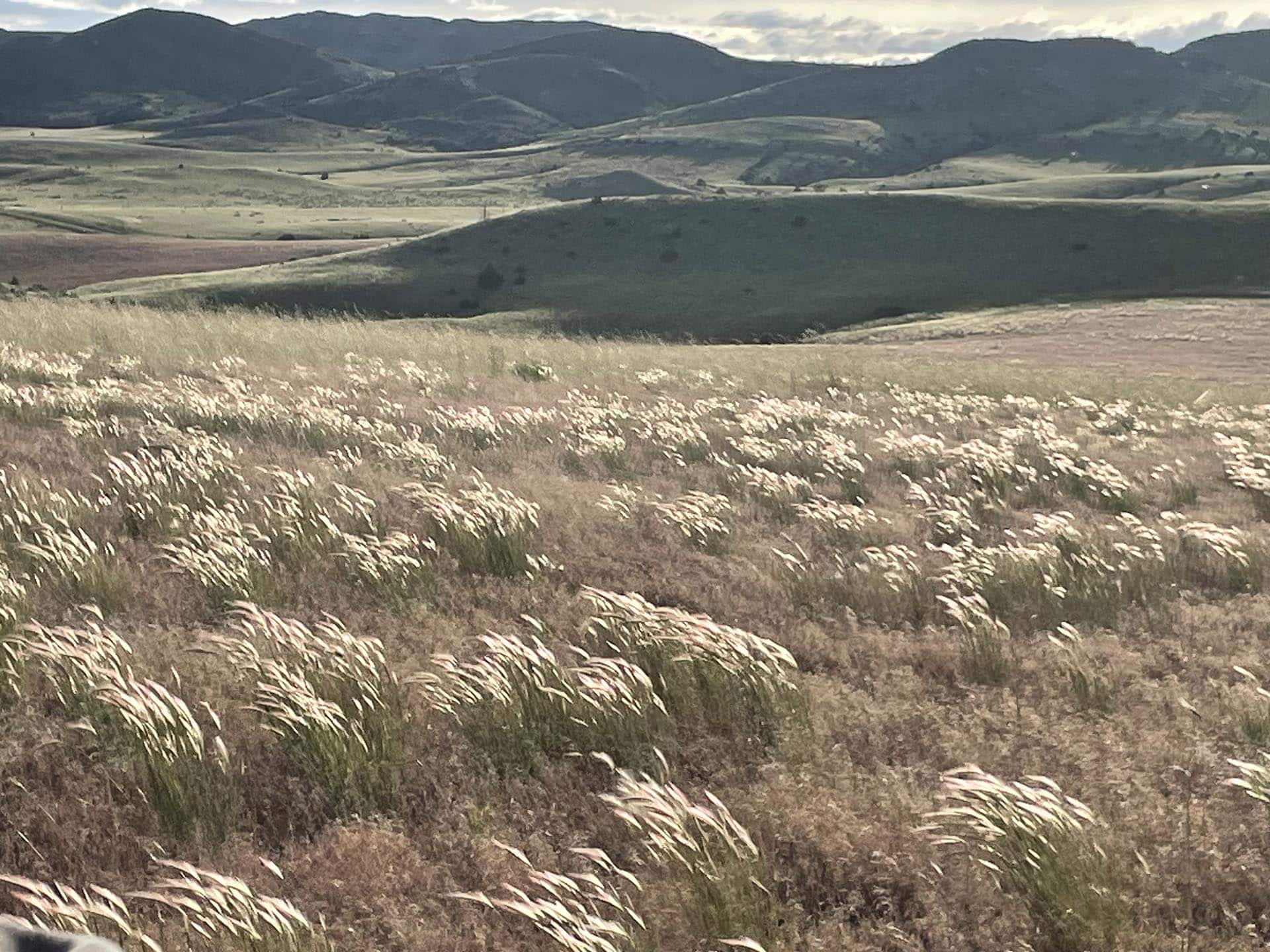 Prairies Montana Jefferson River Legacy Ranch