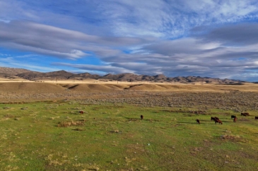 agricultural production land for sale Montana Jefferson River solar farm