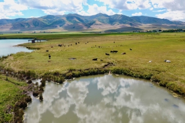 Irrigated Land Idaho Samaria Lake Farm