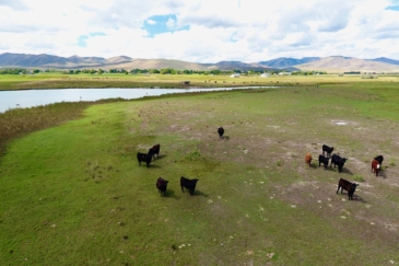 Recreational Property Idaho Samaria Lake Farm