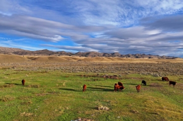 farms for sale Montana Jefferson River solar farm