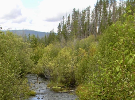 idaho ranches for sale phelan creek ranch