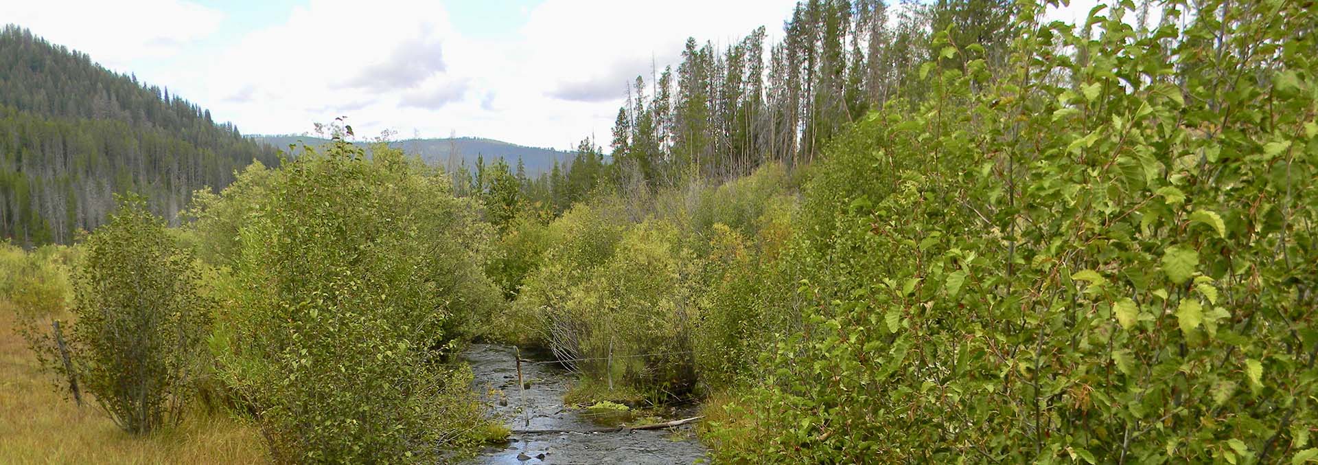 idaho ranches for sale phelan creek ranch