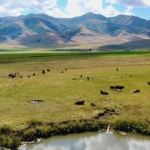 Irrigated Land Idaho Samaria Lake Farm