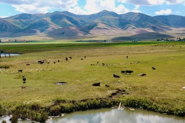 Irrigated Land Idaho Samaria Lake Farm