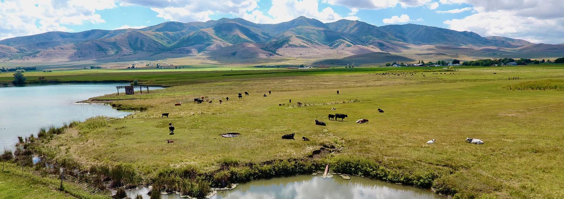 Irrigated Land Idaho Samaria Lake Farm