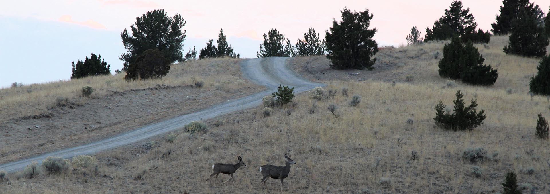 montana land for sale little fish creek retreat