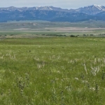 montana land for sale sheilds valley view ranch
