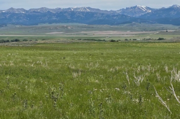 montana land for sale sheilds valley view ranch
