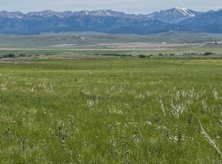montana land for sale sheilds valley view ranch