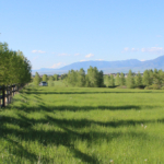 montana ranches for sale Bridger View on Love Lane