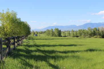 montana ranches for sale Bridger View on Love Lane