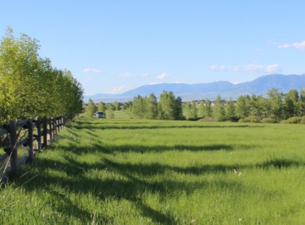 montana ranches for sale Bridger View on Love Lane