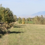 montana ranches for sale Bridger View on Love Lane