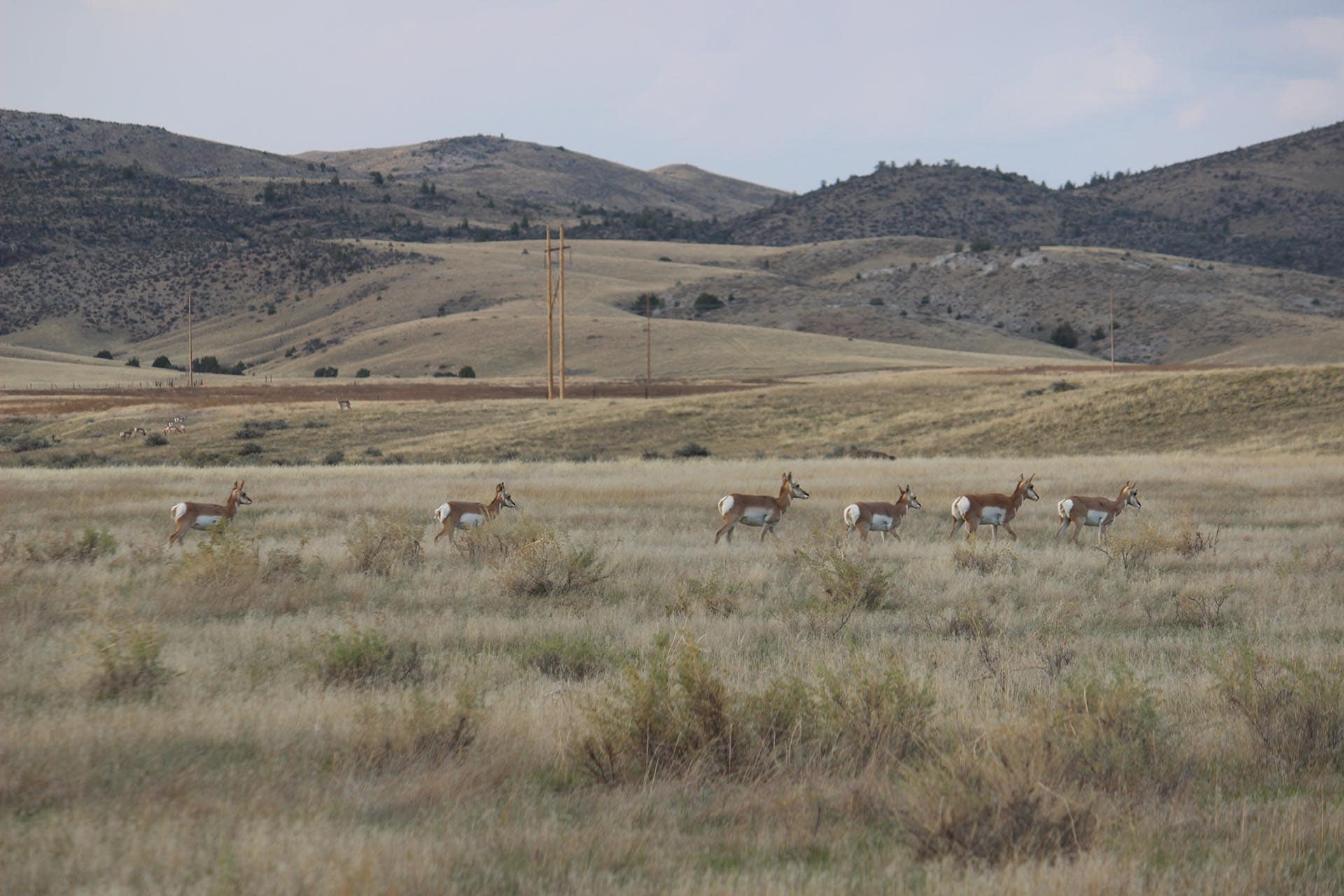 skiing Montana Montana Jefferson River Legacy Ranch