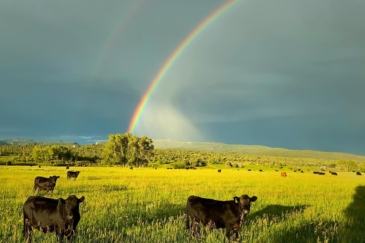 cattle ranches for sale New Mexico Canones Creek Ranch