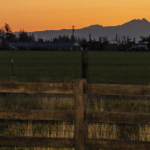 oregon ranches for sale willow tree ranch