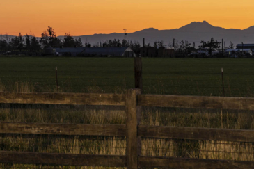 oregon ranches for sale willow tree ranch