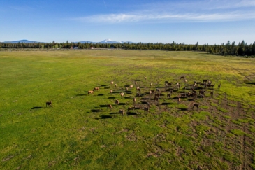 big game hunting property for sale oregon k bar j ranch