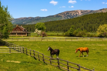 equestrian-property-for-sale-montana-ninemile-valley-ranch