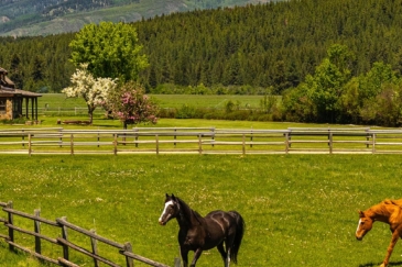 montana-ranch-for-sale-ninemile-valley-ranch