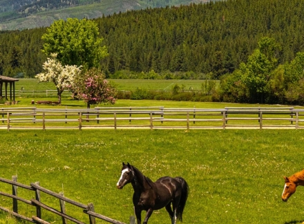 montana-ranch-for-sale-ninemile-valley-ranch