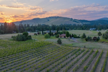 vineyard for sale montana ten spoon winery