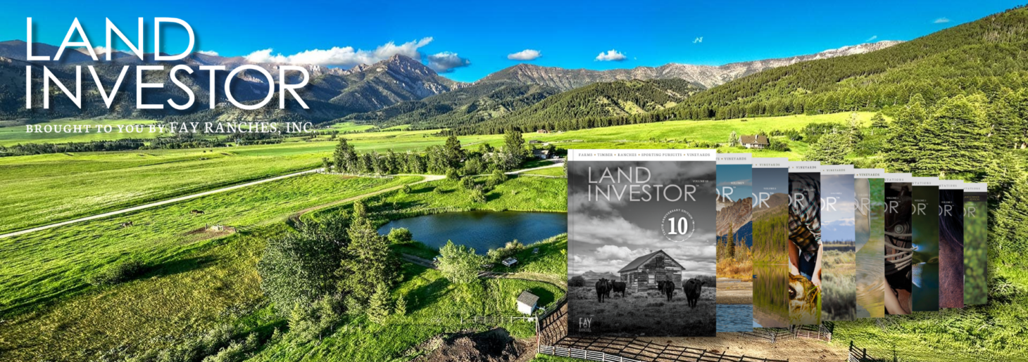 Land Investor Volume 10 - Header Image - 1920x677