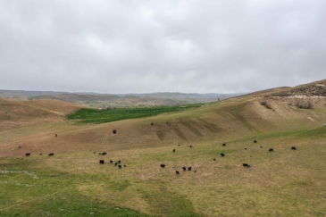 cattle property for sale weiser idaho mann creek valley farm ranch