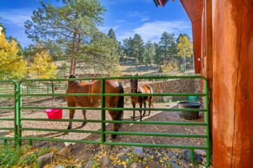 horse property for sale colorado mountain star ranch