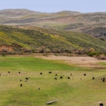 idaho ranches for sale weiser mann creek farm ranch