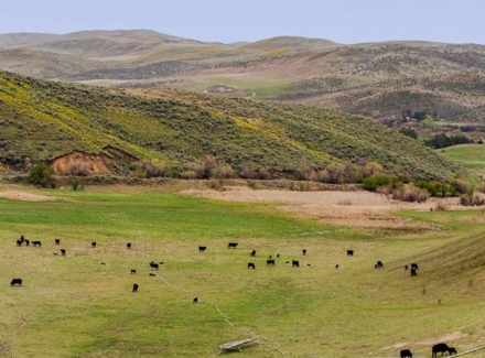 idaho ranches for sale weiser mann creek farm ranch