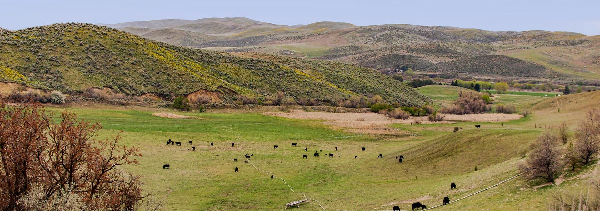 idaho ranches for sale weiser mann creek farm ranch