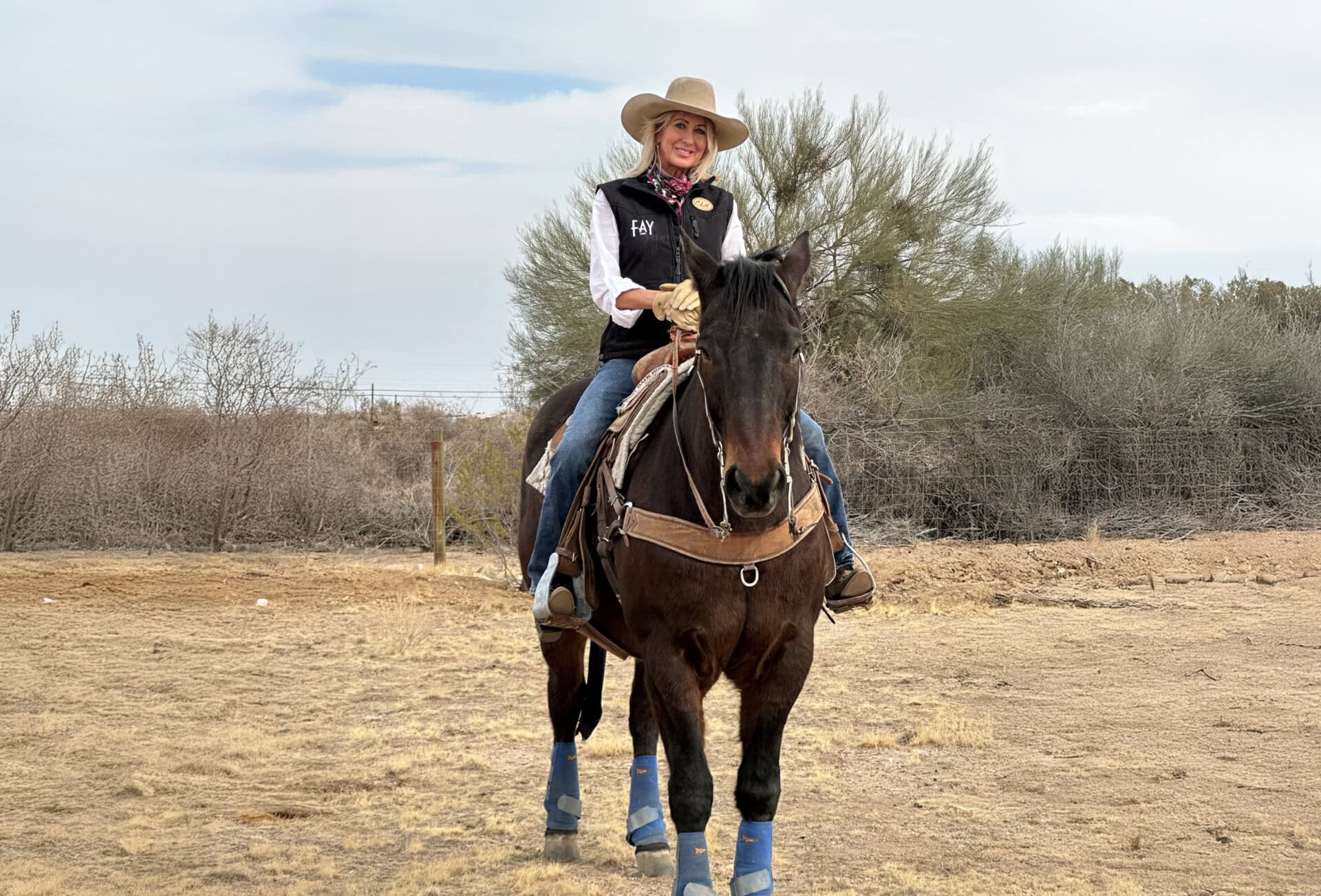 julianna eriksen arizona ranch land broker associate horse desert
