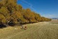 mike atkinson utah broker field walking