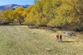 mike atkinson utah ranch land broker field