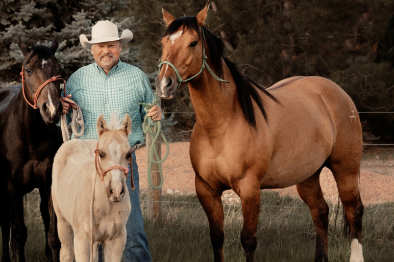 robb nelson NE broker horses