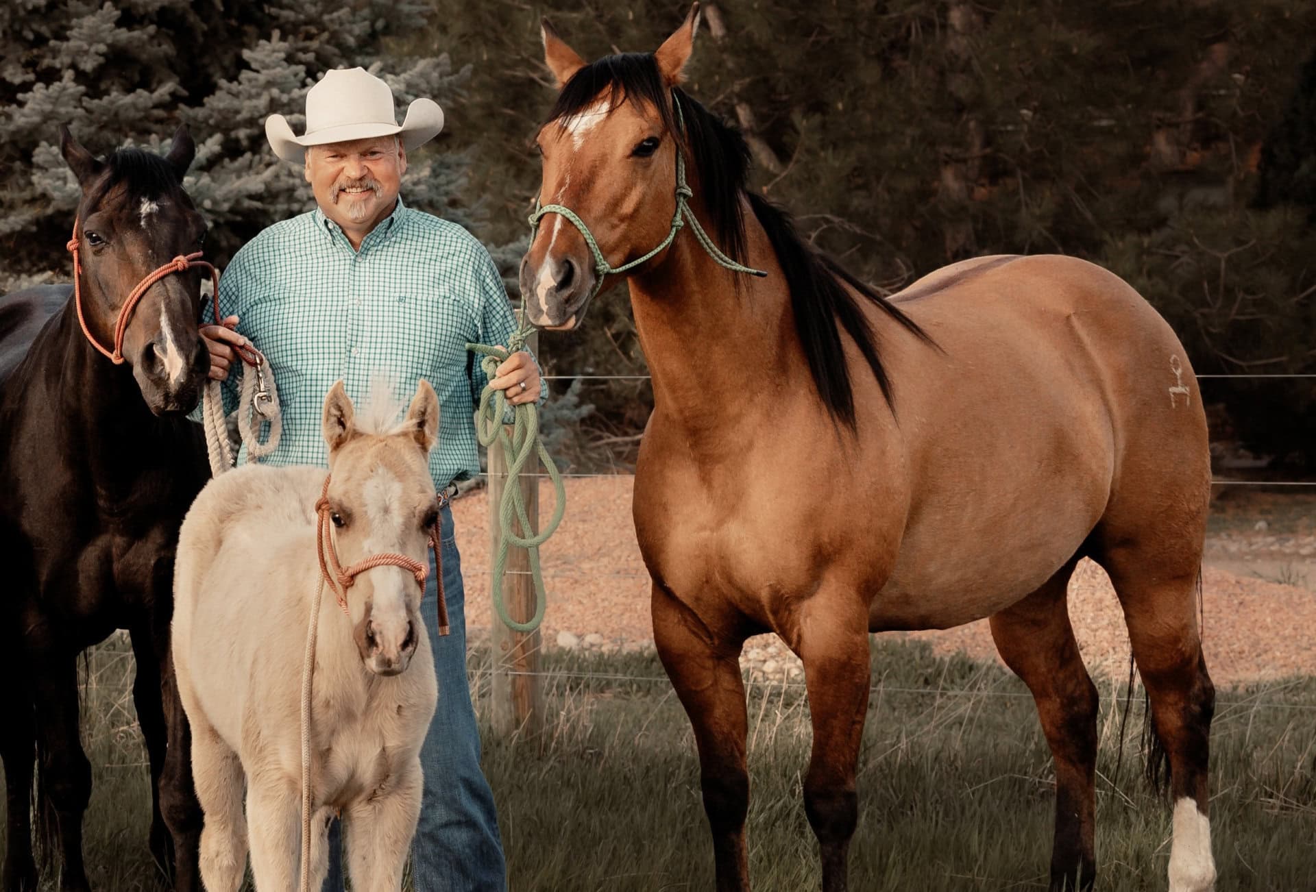 robb nelson NE broker horses