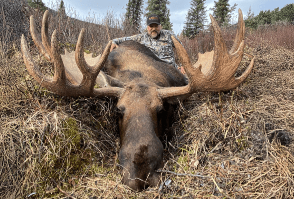 robb nelson colorado broker moose