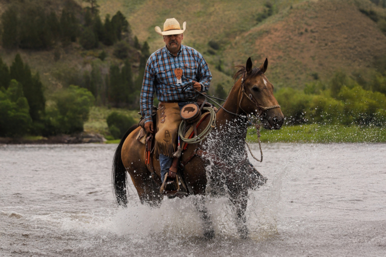 robb nelson horse river crossing